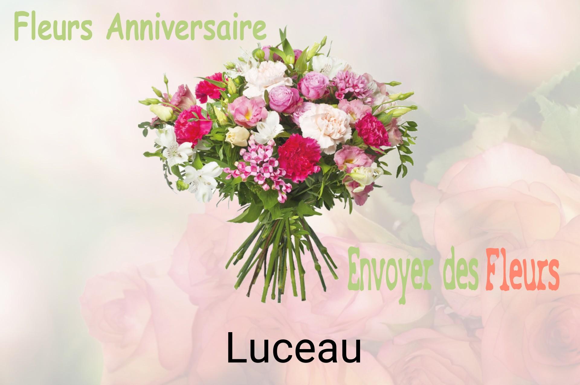 Bouquet de fleurs d’anniversaire livré à Luceau