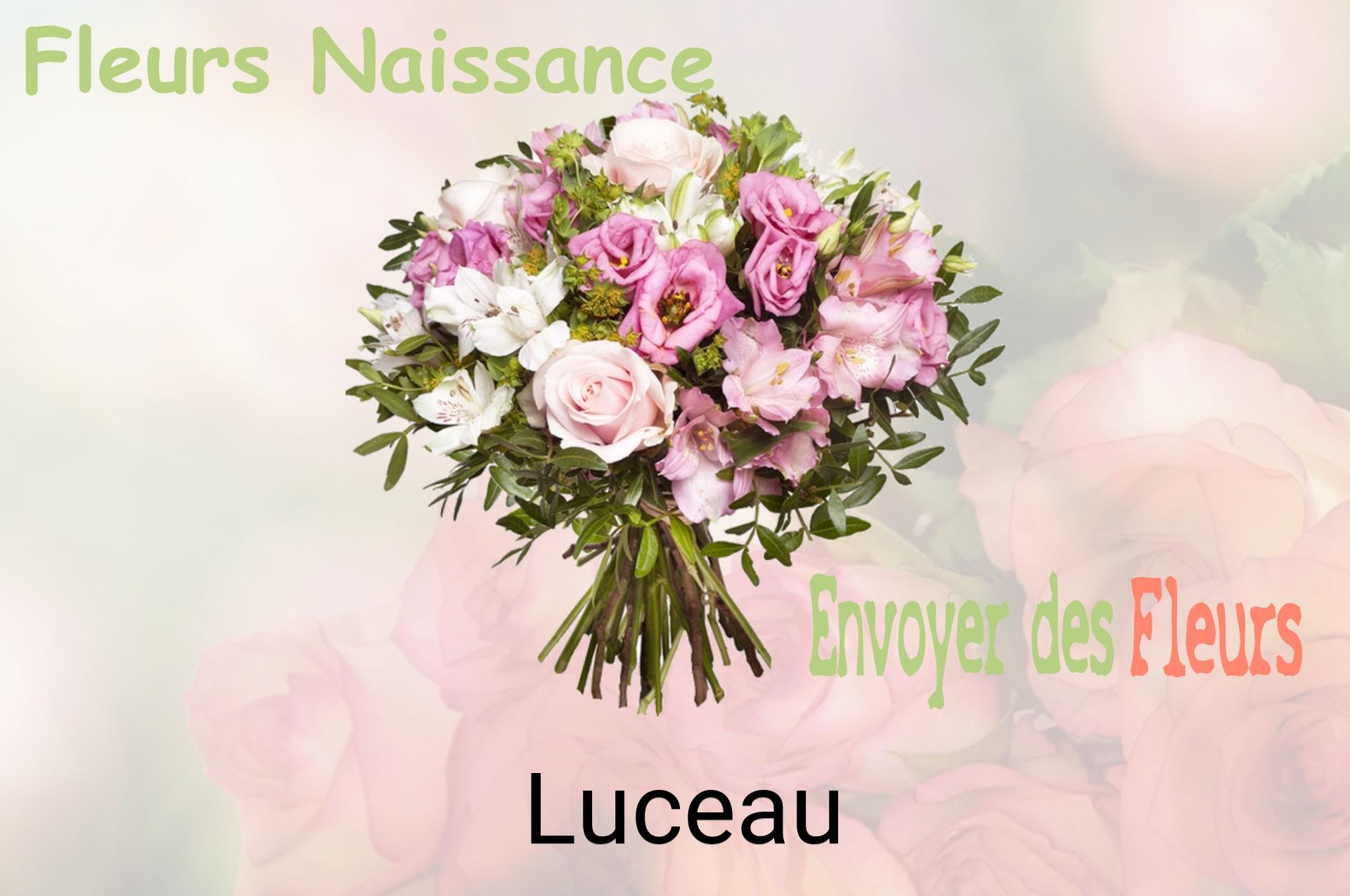 Bouquet de fleurs de naissance livré à Luceau