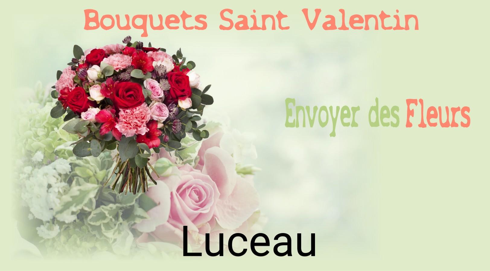 Roses de Saint-Valentin livrées à Luceau