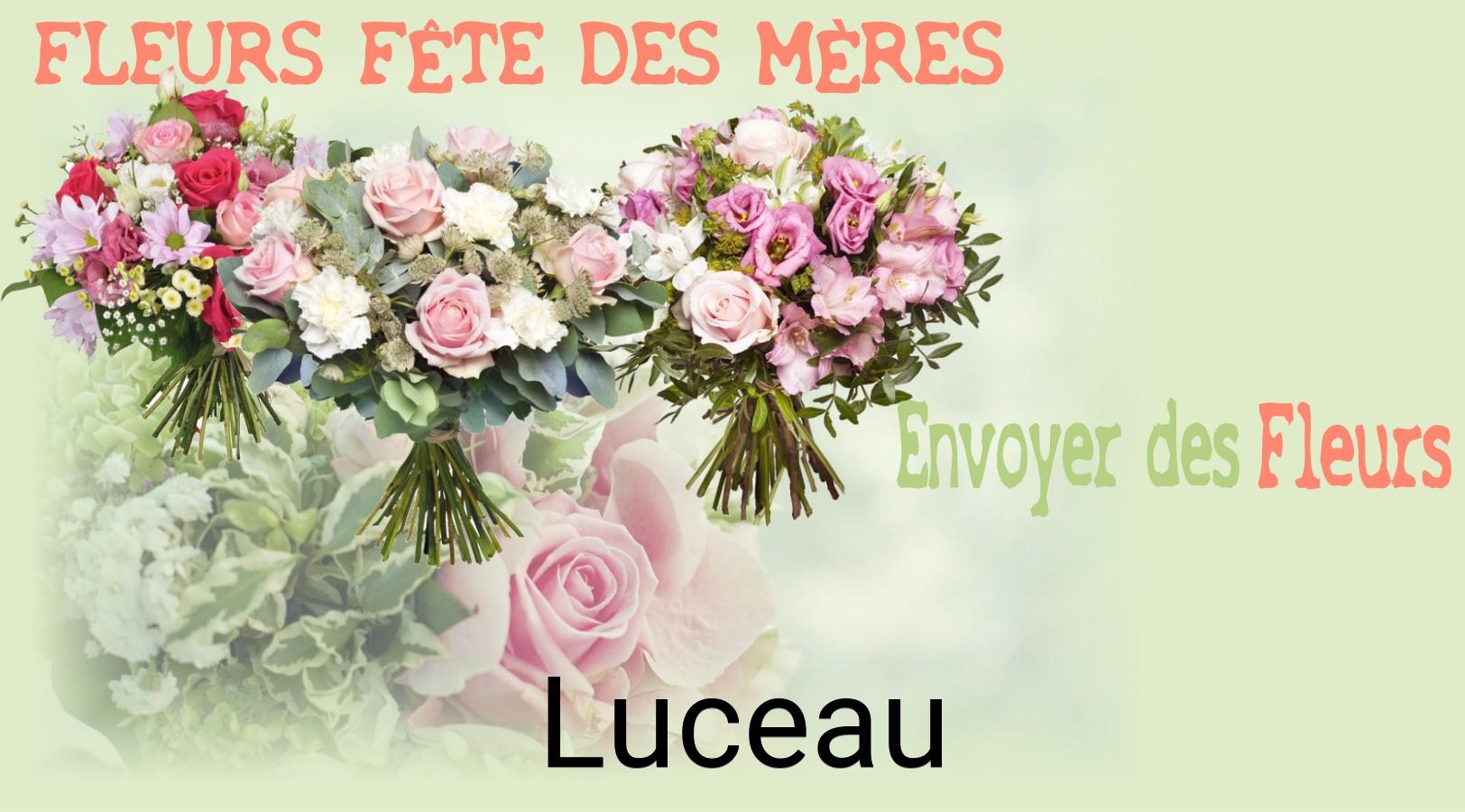 Bouquet de Fête des Mères livré à Luceau